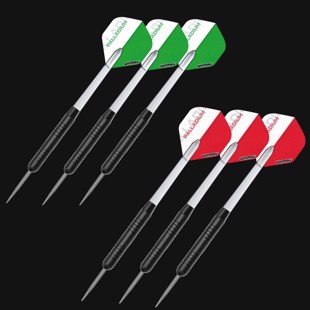 Winmau Diamond Plus Surround sæt - Diamond skive, surround & 2 sæt pile