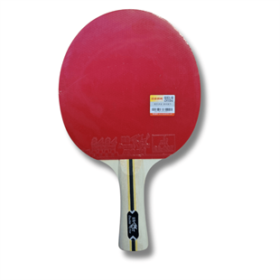 Double Fish M1 bordtennis bat med etui