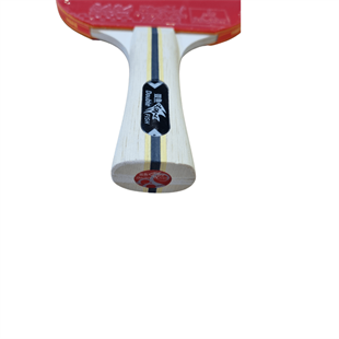 Double Fish M1 bordtennis bat med etui