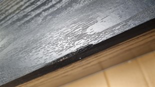 7 fods Dallas poolbord m/ tilbehørspakke - DEMO