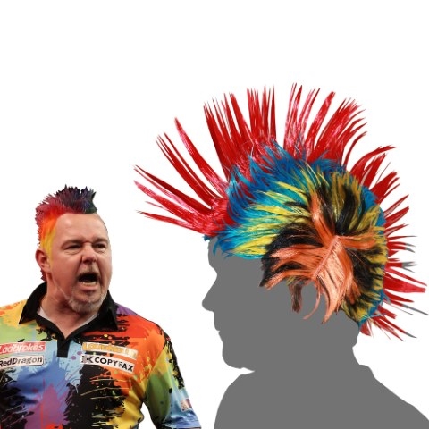 Cool Peter Wright paryk