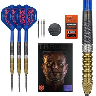 RAYMOND VAN BARNEVELD G6, 95% NT steeltip dartpile fra Target